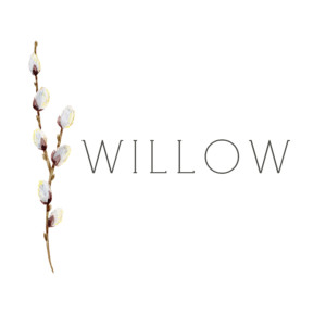 willow (1)